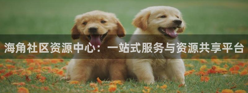 刘海角社区：海角社区资源中心：一站式服务与资源共享平台