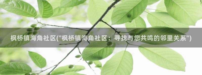 海角社区网站是哪里的：枫桥镇海角社区(\