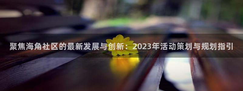 海角社区海外怎么注册：聚焦海角社区的最新发展与创新：2023年活动策划与规划指引