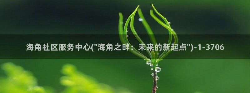 海角社区 网站：海角社区服务中心(\