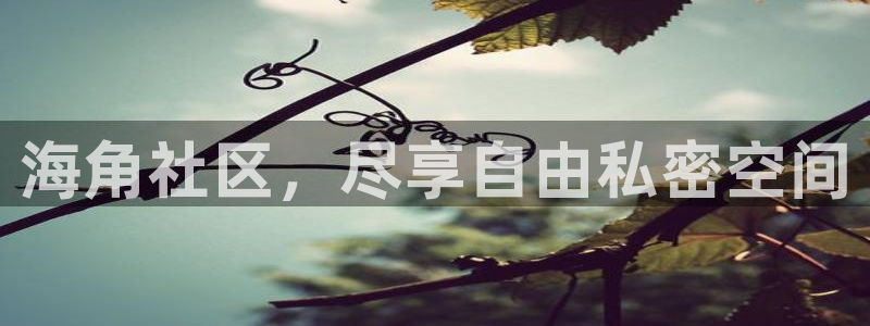 海角社区注册用户名大全：海角社区，尽享自由私密空间